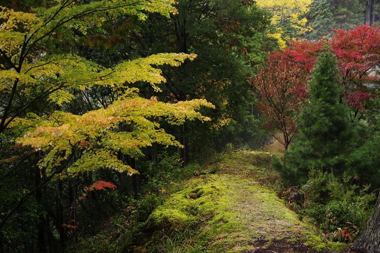 Yadori Onsen Iyashinoyu Villa Hashimoto  Bagian luar foto