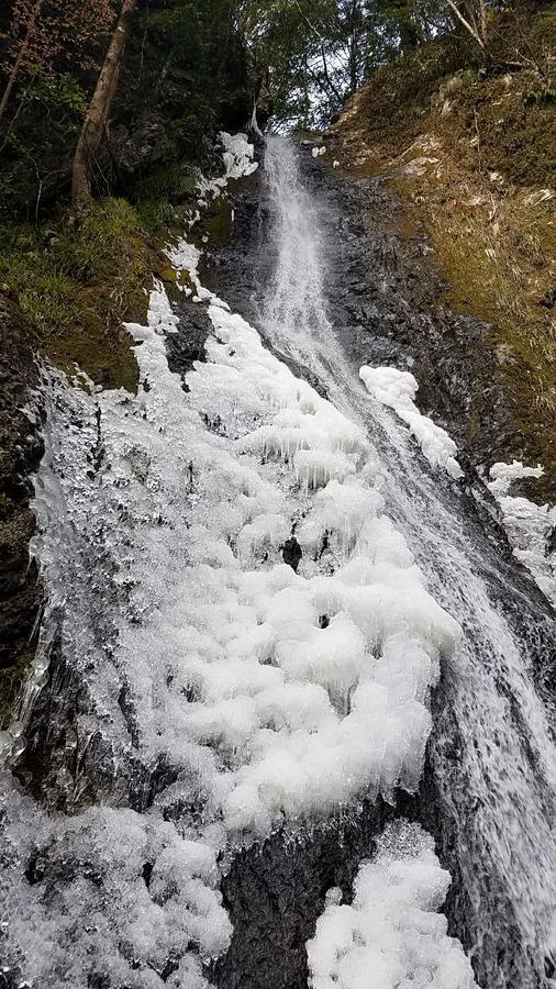 Yadori Onsen Iyashinoyu Villa Hashimoto  Bagian luar foto